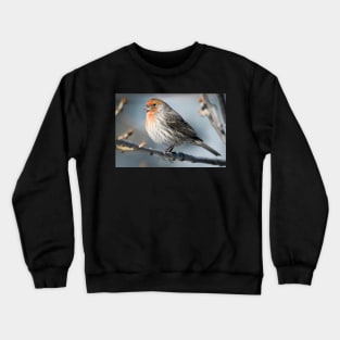 Finch in the cold Crewneck Sweatshirt